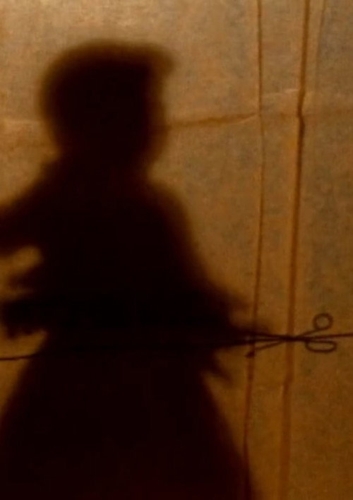 Movie poster for The Secret Story (1996)