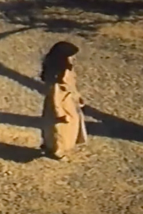 Movie poster for The Lonely Star (1992)