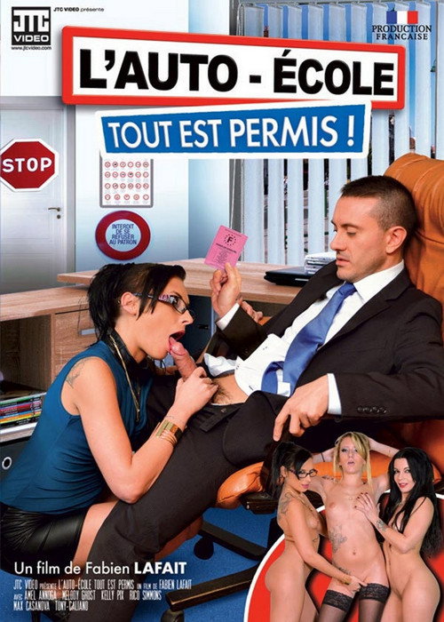 Movie poster for L'Auto-Ecole Tout Est Permis ! (2015)