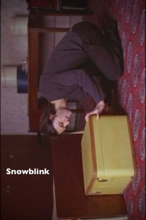 Snowblink poster