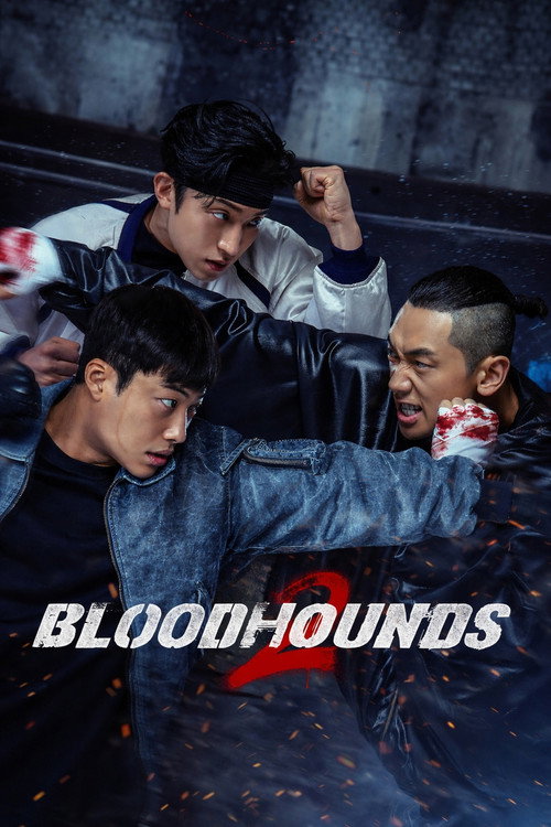 Series poster for Bloodhounds (2023)