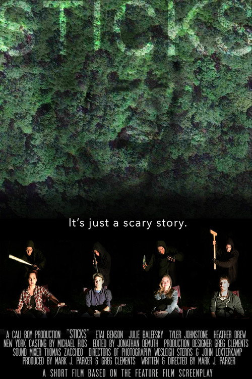 Movie poster for Sticks (2016)