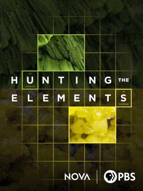 Movie poster for Hunting the Elements (2012)