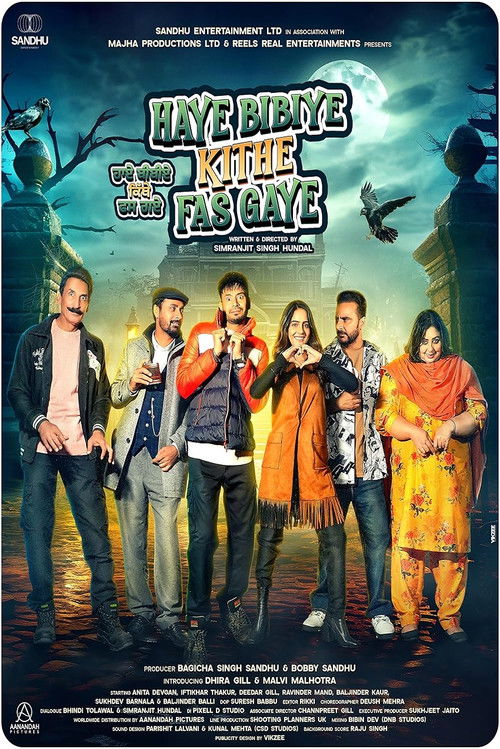 Movie poster for Haye Bibiye Kithe Fas Gaye (2024)