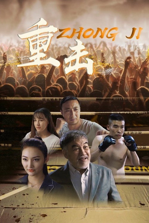 Movie poster for Punch (2020)