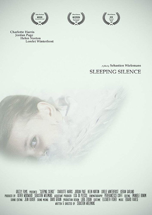 Movie poster for Sleeping Silence (2017)