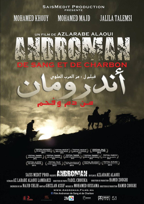 Movie poster for Androman - De sang et de charbon (2012)