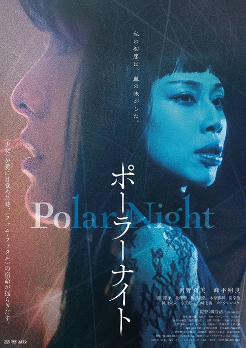 Movie poster for Polar Night (2023)