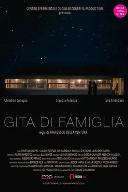 Movie poster for Gita di famiglia (2021)