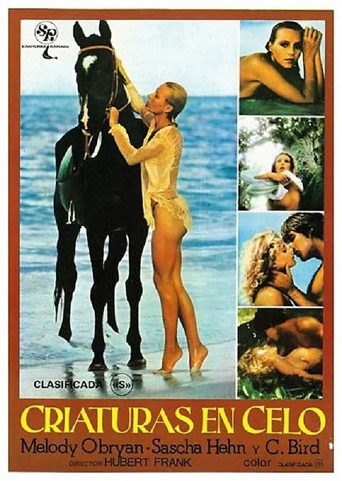 Movie poster for Melody in Love (1978)