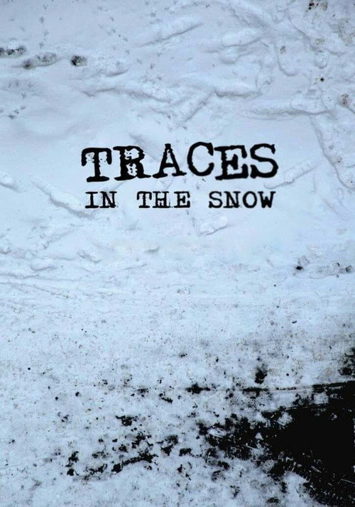 Movie poster for Traces in the Snow (2014)