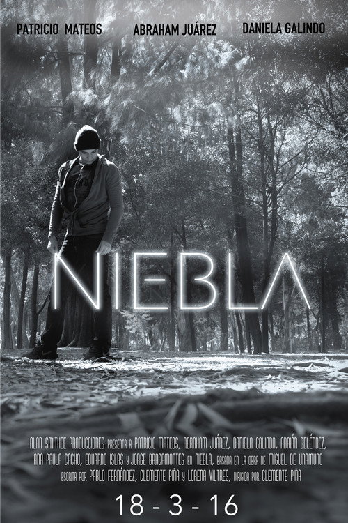 Movie poster for Niebla (2016)
