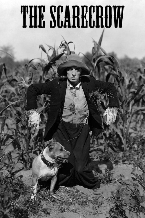 Movie poster for The Scarecrow (1920)