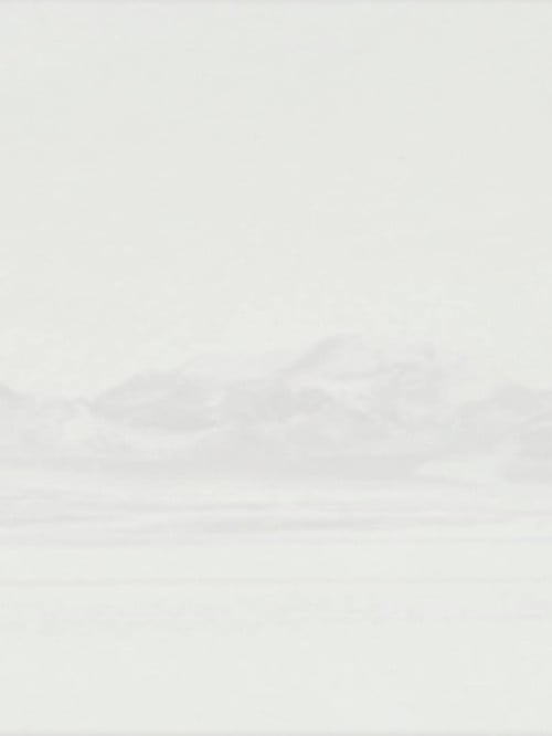 Movie poster for Dark Room Filled with Light (2006)