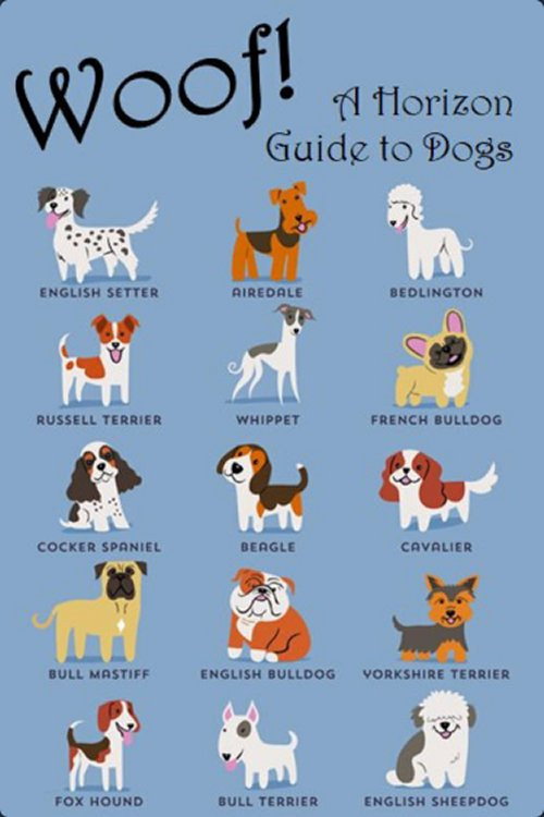 Movie poster for Woof! A Horizon Guide to Dogs (2012)