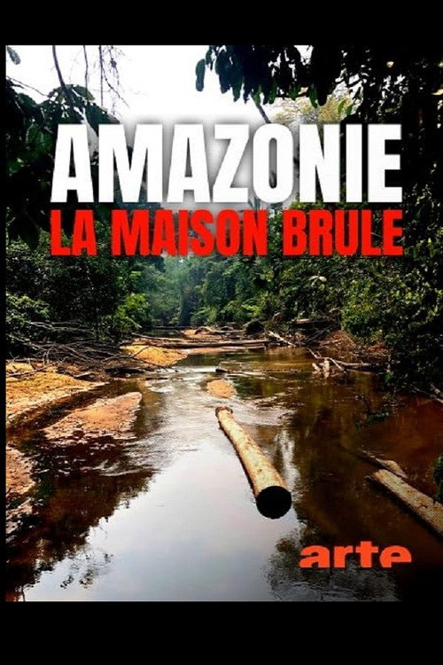 Movie poster for S.O.S. Amazonas: Apokalypse im Regenwald (2019)