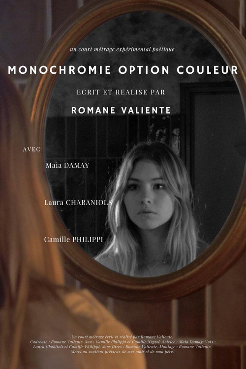 Movie poster for Monochromie Option Couleur (2024)