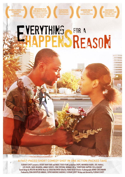 Movie poster for Everything Happens for a Reason (2013)