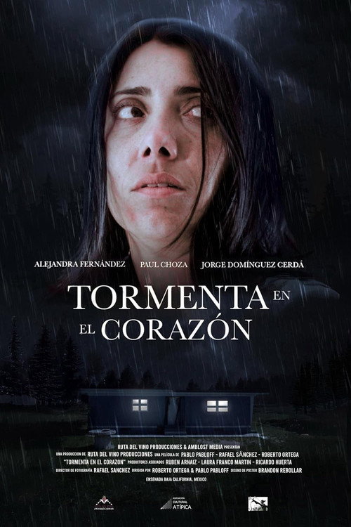 Movie poster for Tormenta en el corazón (2024)