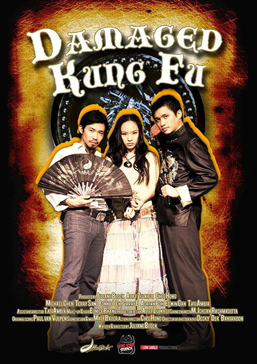Movie poster for Damaged Kung Fu (2011)
