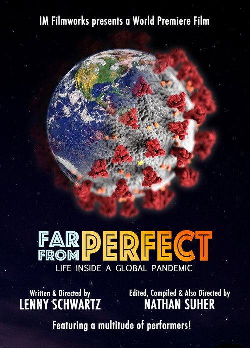 Movie poster for Far from Perfect: Life Inside a Global Pandemic (2020)