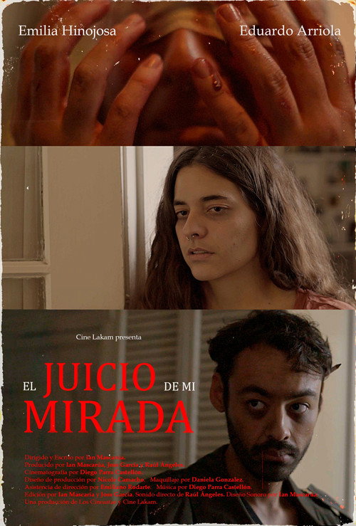 Movie poster for El juicio de mi mirada. (2025)