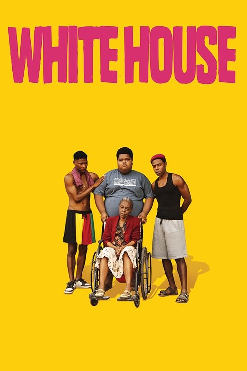 Movie poster for White House (2025)