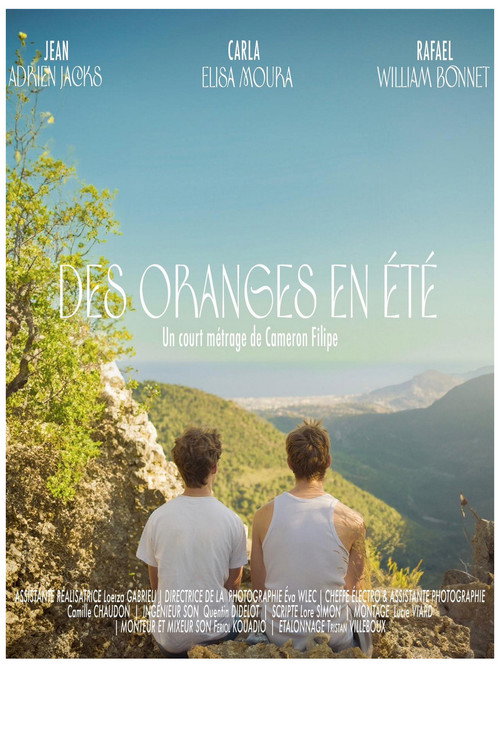 Movie poster for Oranges in Summer (2024)