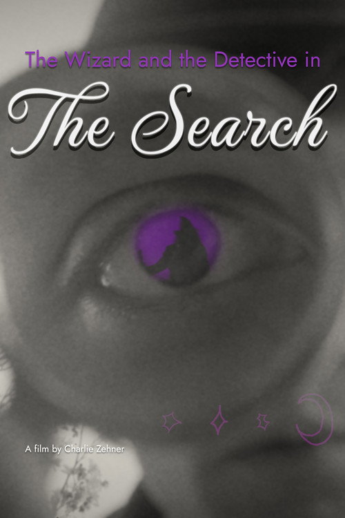 Movie poster for The Wizard and the Detective in the Search
