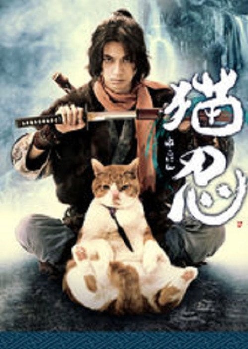 Series poster for Neko Ninja: TV Drama Series (2017)