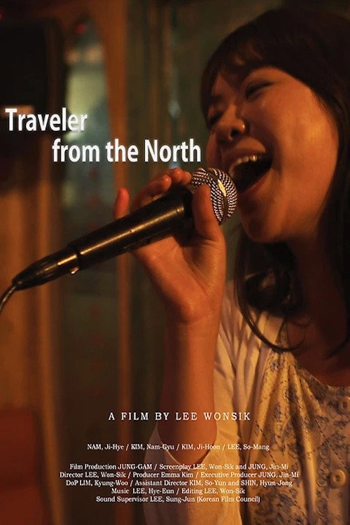 Movie poster for Traveler from the North (2013)