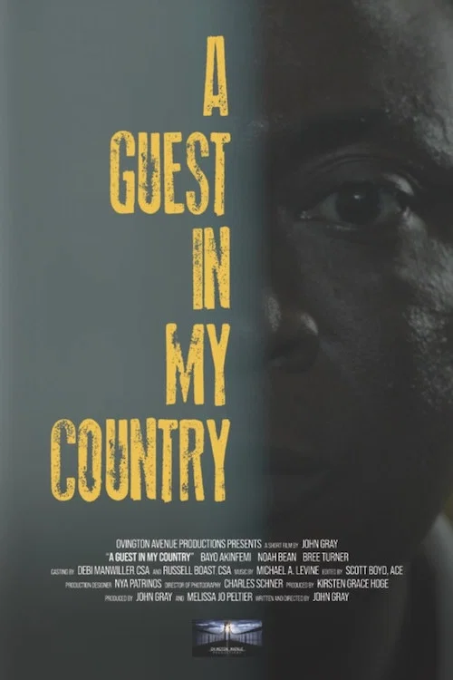 Movie poster for A Guest in My Country (2024)