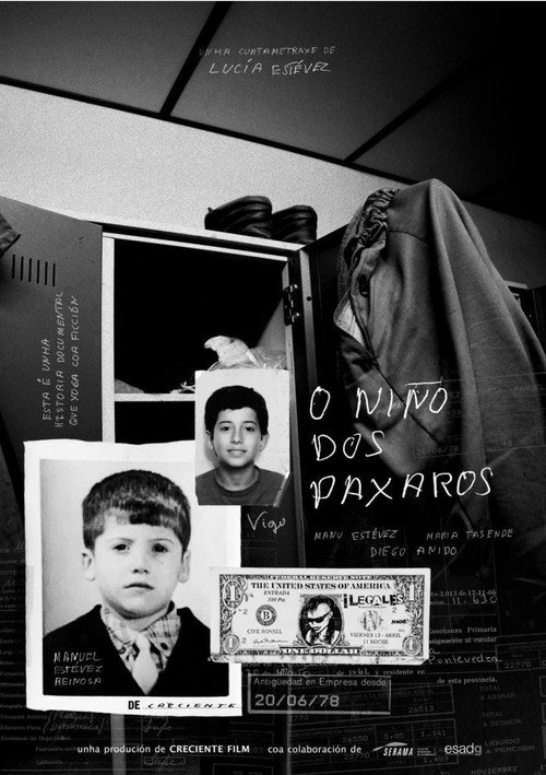 Movie poster for O niño dos paxaros