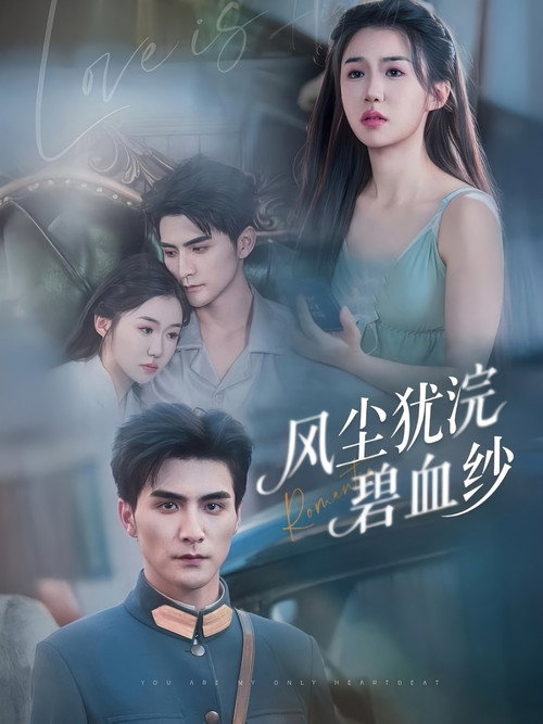 风尘犹浣碧血纱 poster