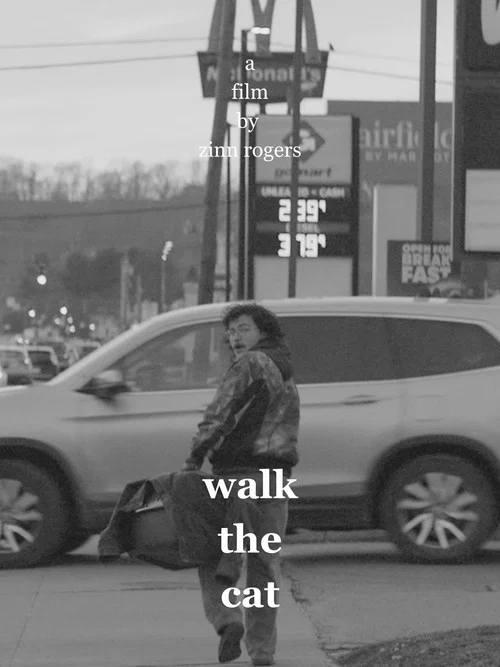 Movie poster for Walk the Cat (2026)