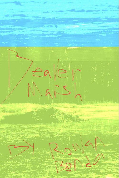 Movie poster for Beaver Marsh (2025)