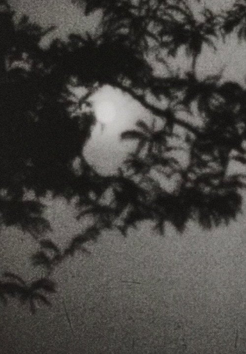 Movie poster for Moonplay (1962)
