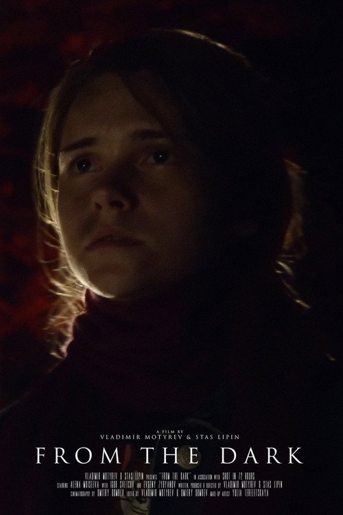 Movie poster for From the Dark (2021)