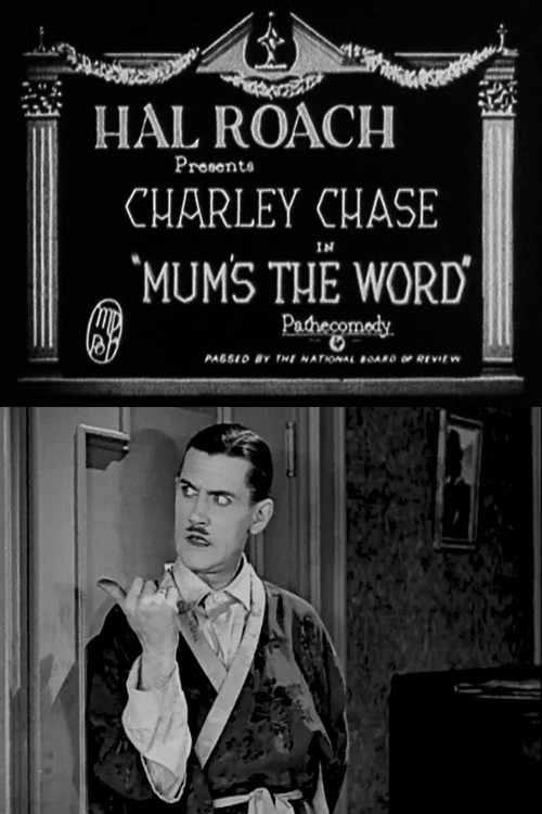 Movie poster for Mum's the Word (1926)