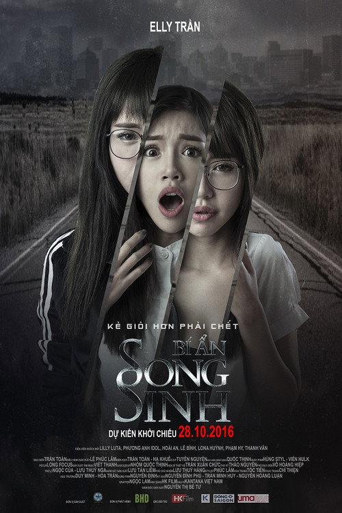 Movie poster for The Twins (2016)