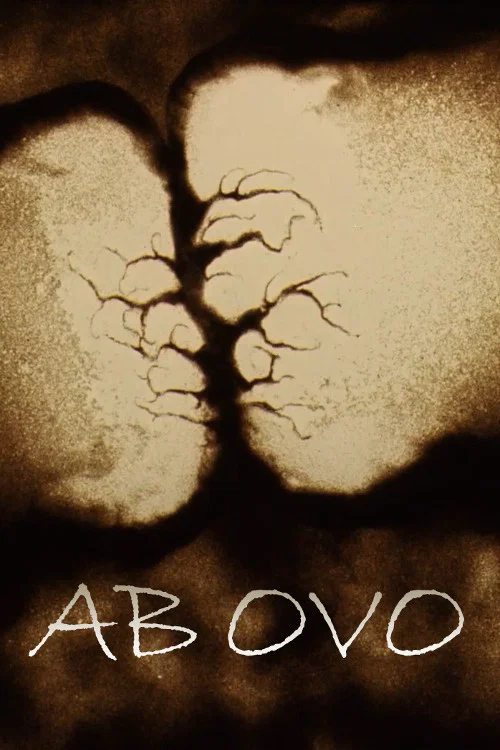 Movie poster for Ab ovo - Traces of Sand (1987)