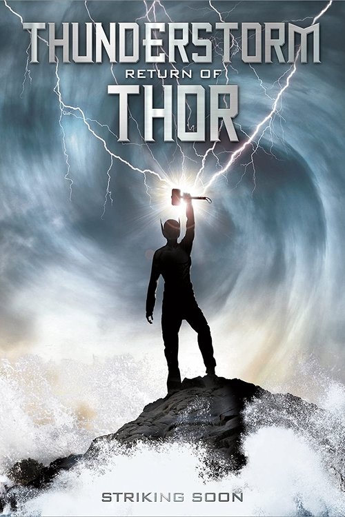 Movie poster for Adventures of Thunderstorm: Return of Thor (2011)
