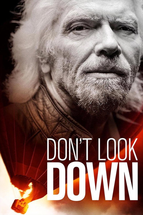 Movie poster for Don't Look Down (2016)