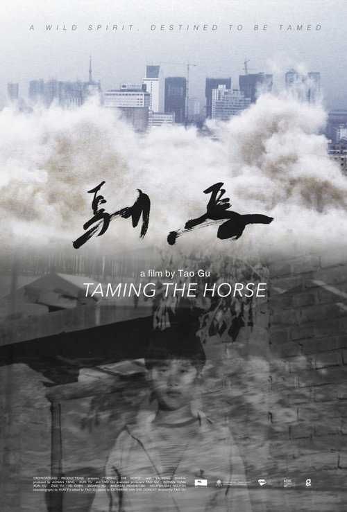 Movie poster for Taming the Horse (2017)