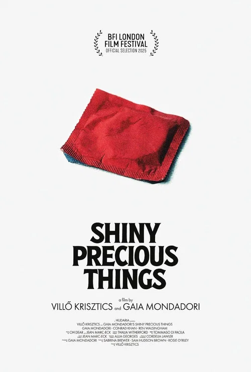 Movie poster for Shiny Precious Things (2025)