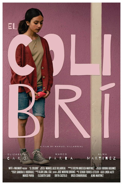 Movie poster for El Colibrí (2024)