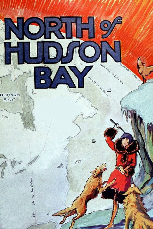Movie poster for North of Hudson Bay (1923)