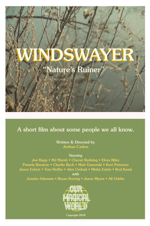 Movie poster for Windswayer (2018)