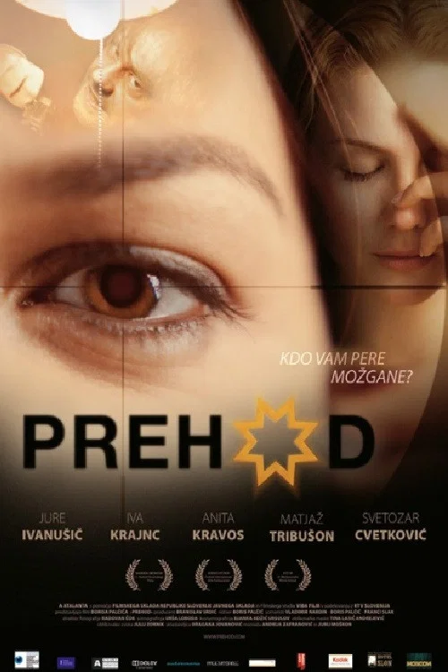 Movie poster for Transition (2008)
