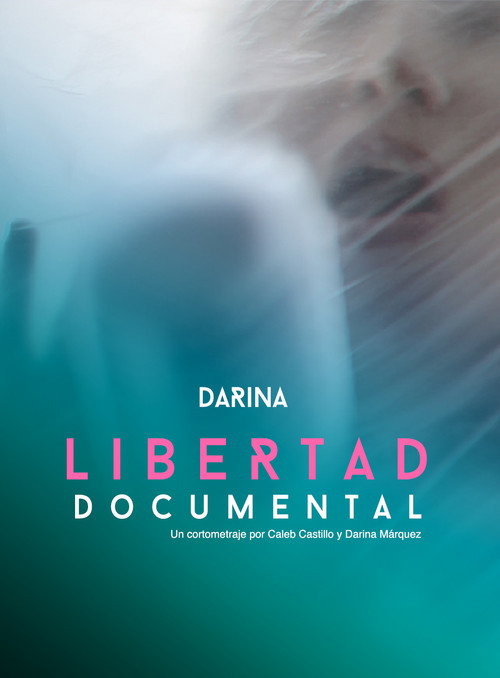 Movie poster for Freedom